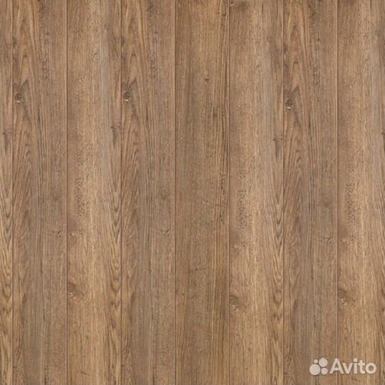 Pilot Браун 33 класс