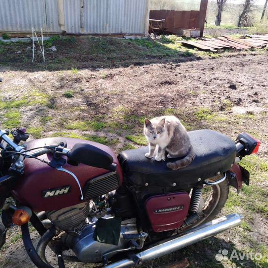 Иж планета 3