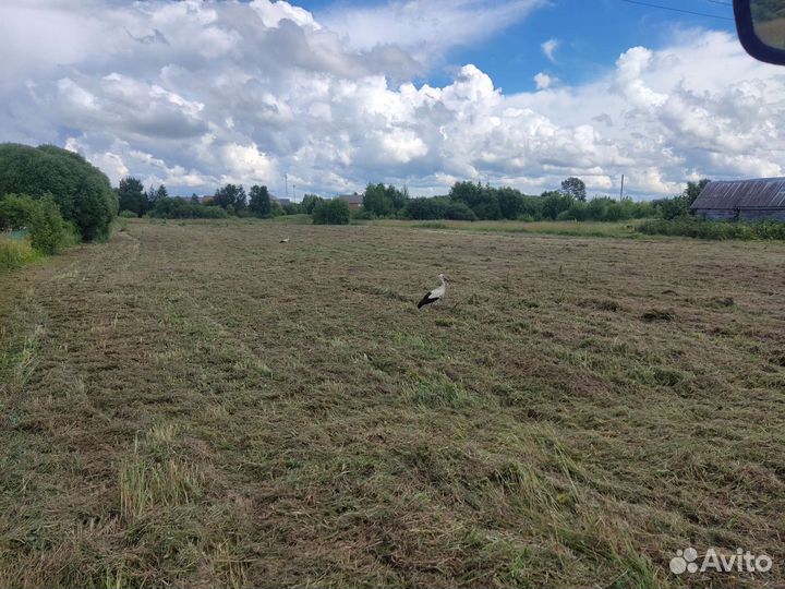 Покос травы