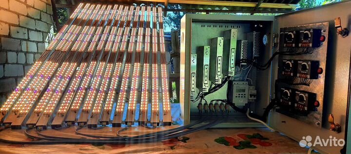 Светильники для стеллажного выращивания