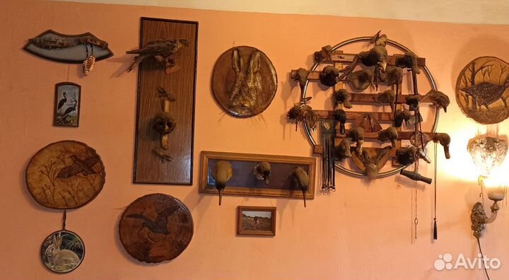 Набор чучел для оформления в охотничьем стиле