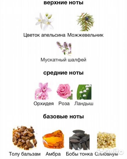 Tolu Ormonde Jayne, 8мл, оригинал