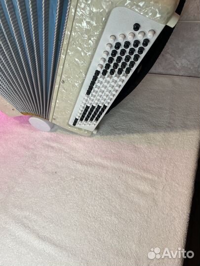 Тульский Белый баян. Золотая решётка. Бн 39