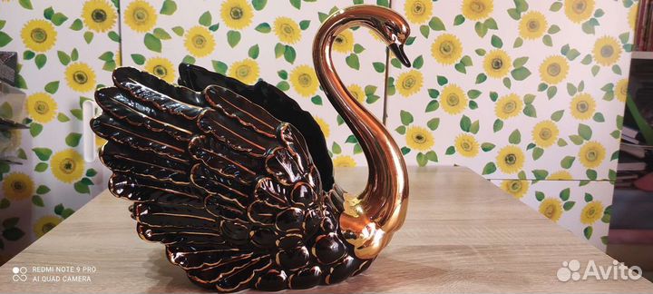 Лебедь чёрный Dipinto amano