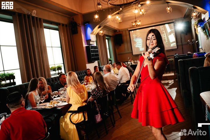 Скрипка на праздник, музыкант