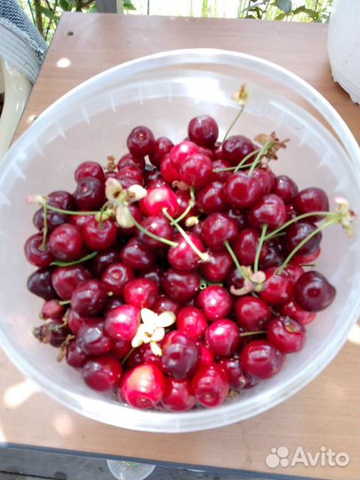 Овощи фрукты