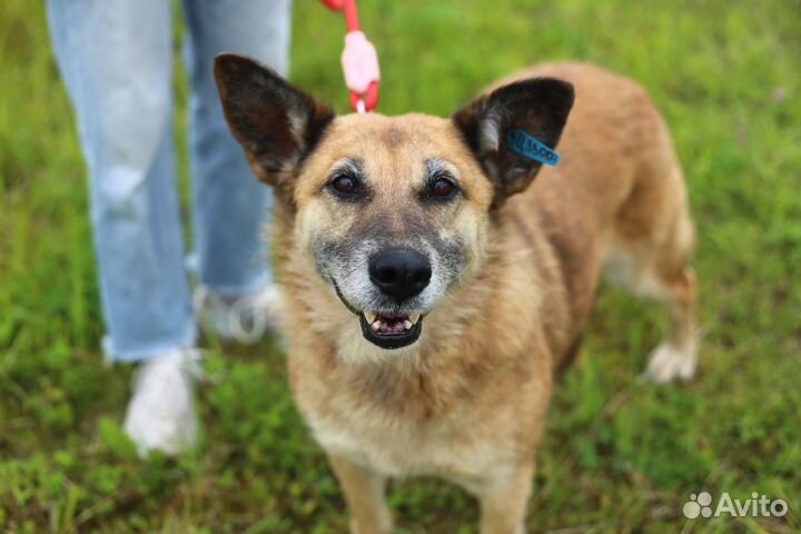 Зита и Жуля ищут дом