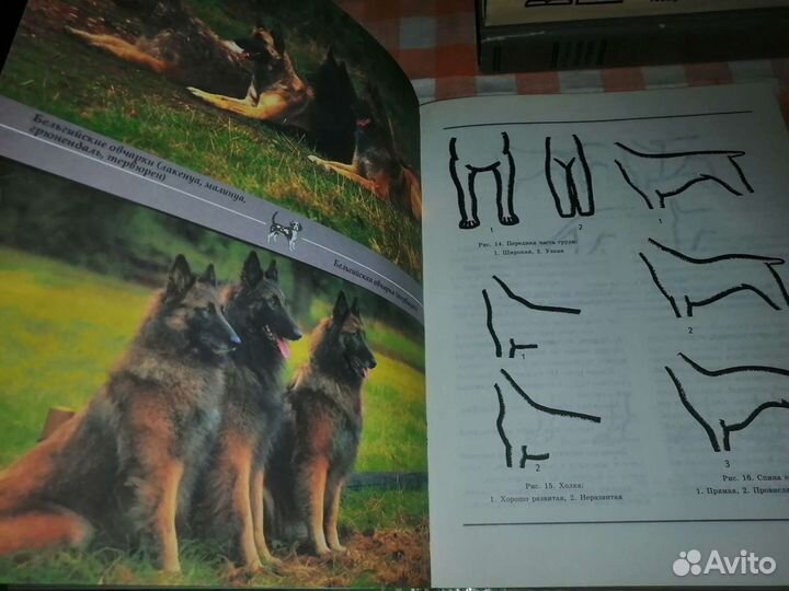 Настольная книга для хозяев собак