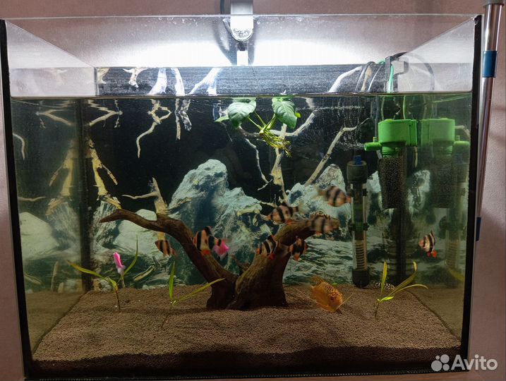 Аквариум