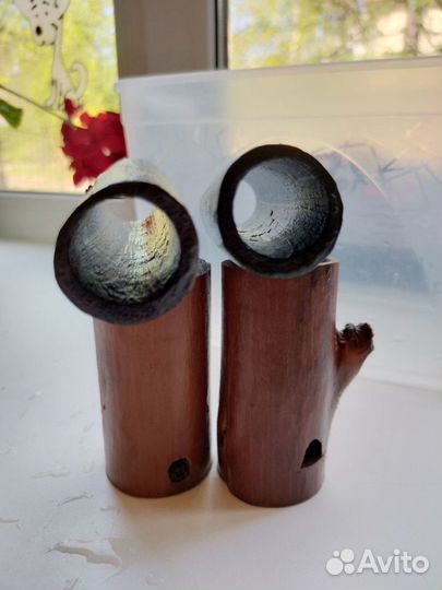 Данио/Анциструсы/Гуппи/Ампулярии