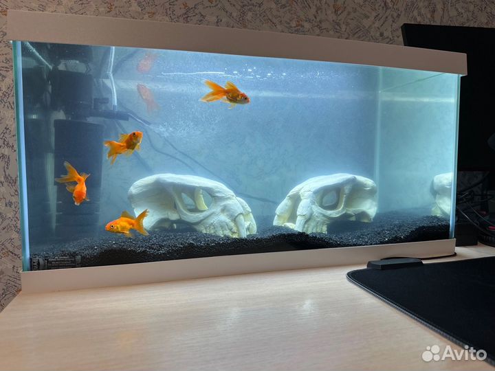 Чистка, установка, обслуживание аквариумов