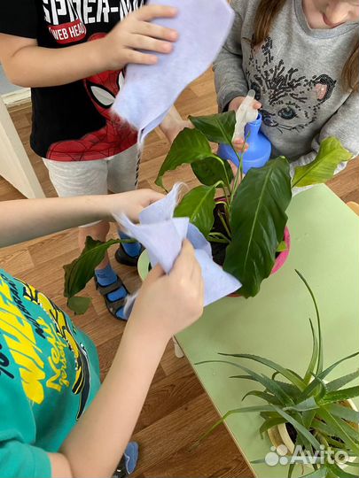 Няня на час