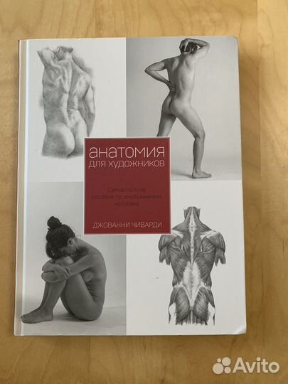 Книга новая анатомия для художников