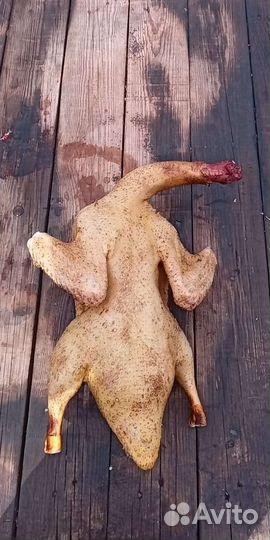 Мясо утки мулард