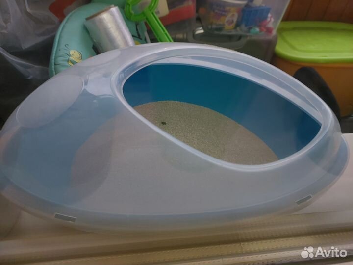 Шиншилла с клеткой