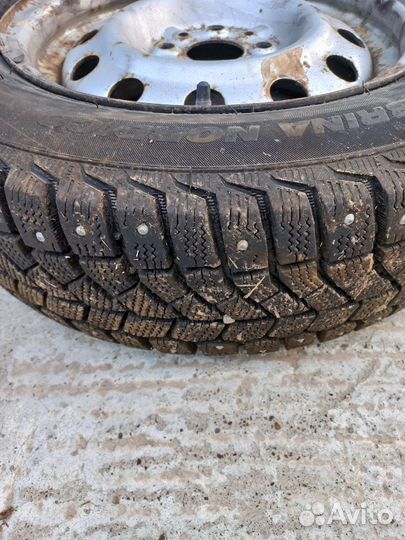 Viatti Brina Nordico V-522 175/65 R14