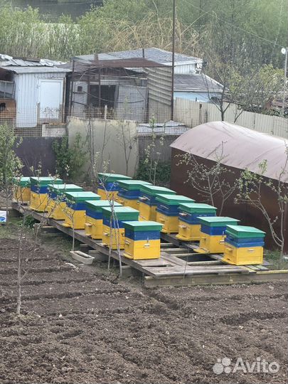 Ульи для пчел