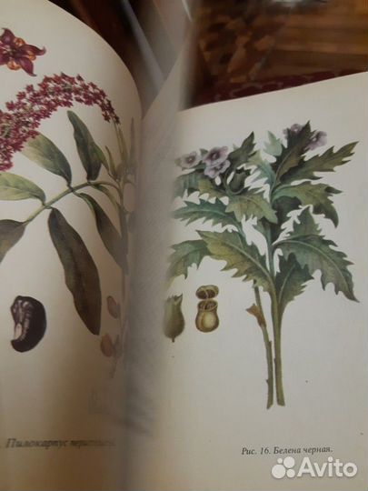 Книги Лекарств раст-я