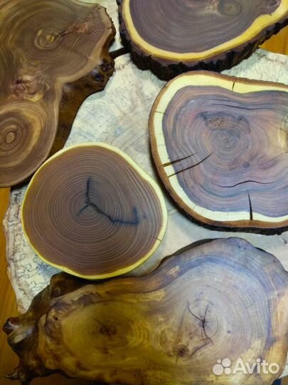 Спилы дерева