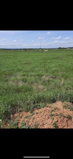 Участок 36 сот. (ИЖС)