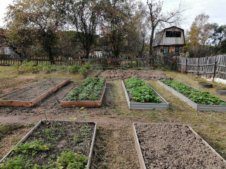 Участок 11 сот. (СНТ, ДНП)