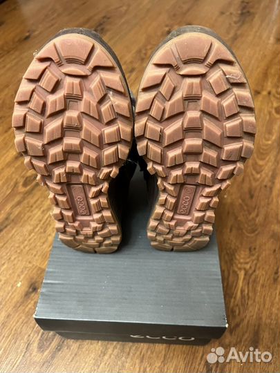 Ботинки осенние ecco 31