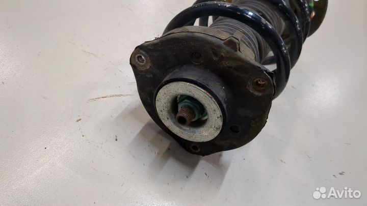 Амортизатор подвески Volkswagen Passat 6, 2009