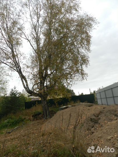 Спил деревьев, вырубка, корчёвка, расчистка полей