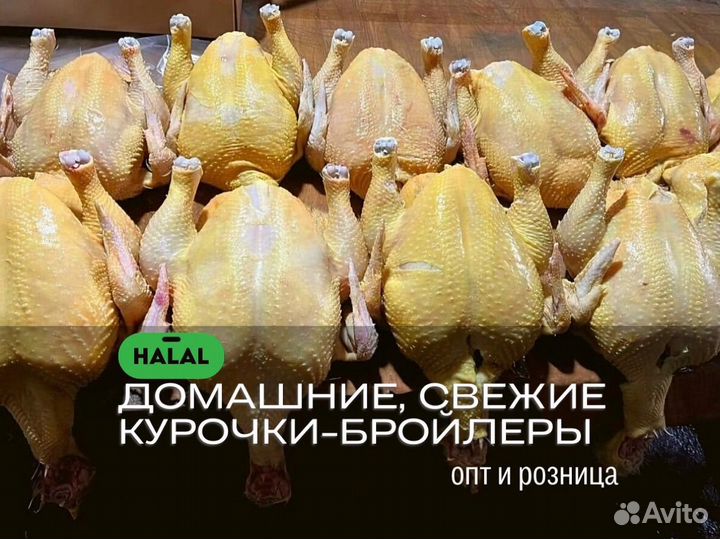 Тушка оптом