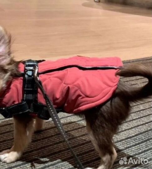 Жилетка для маленьких собак