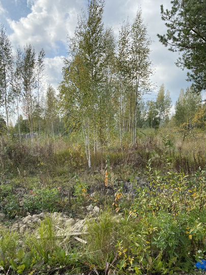 Участок 12 сот. (СНТ, ДНП)