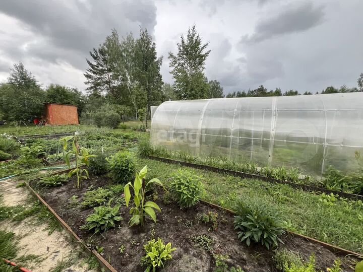 Дача 41 м² на участке 12 сот.