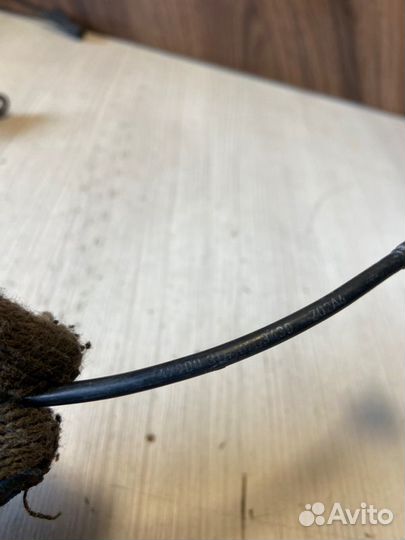 Датчик abs задний правый Nissan Tiida