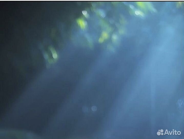 Слушатель собеседник