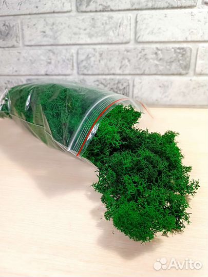 Стабилизированный мох