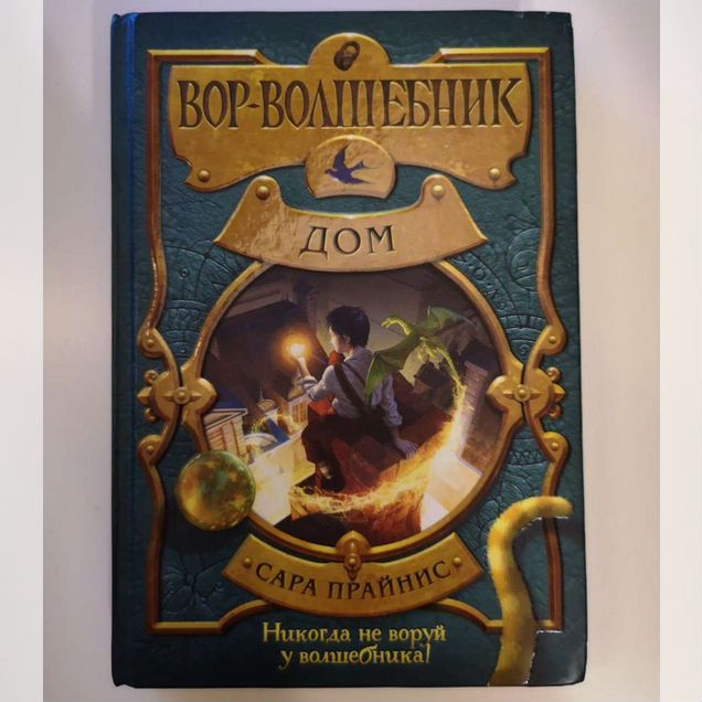 Вор-волшебник Дом Сара Прайнис