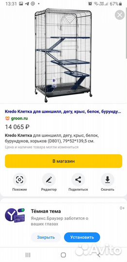 2 шиншиллы-девочки и клетка Credo 140 см