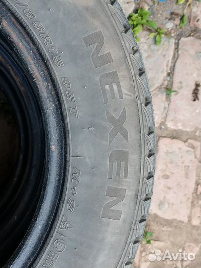 Nexen Winguard Ice Plus 195/65 R15 95T