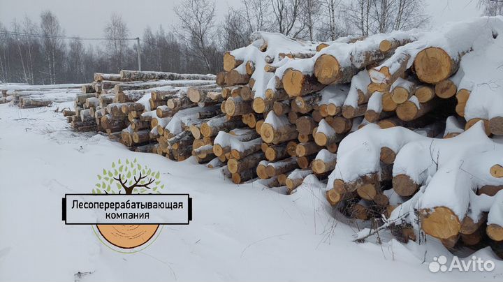 Баланс Березовый. Большие объемы