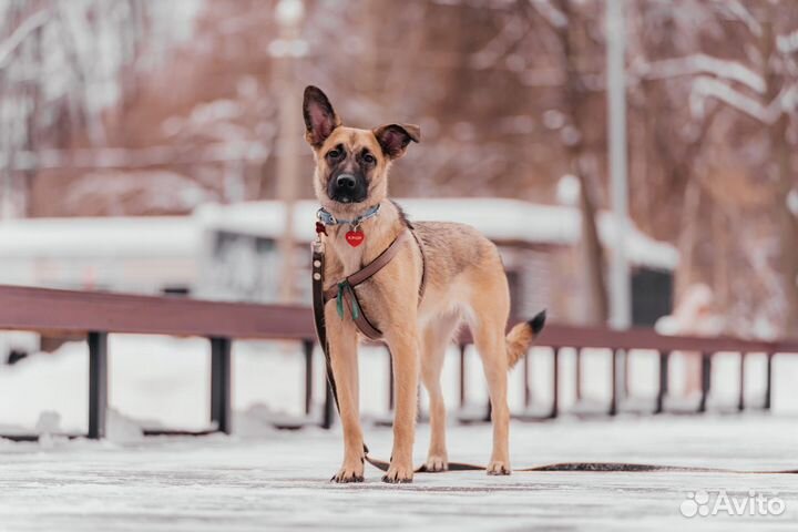 Подарите девочке жизнь