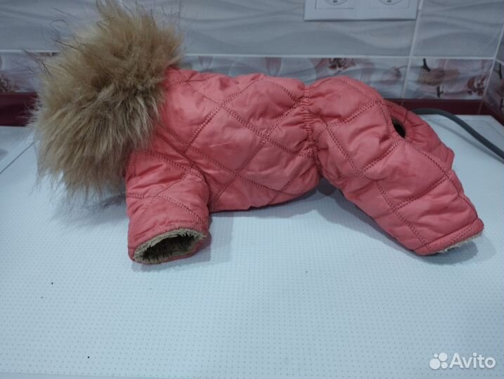 Комбинезон для маленькой собаки девочки