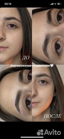 Мастер бровист