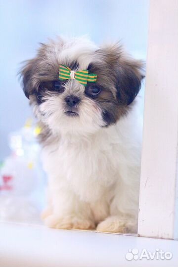 Красивая,живая игрушка