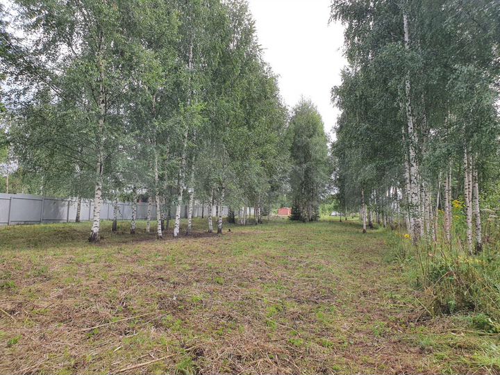 Участок 30 сот. (СНТ, ДНП)