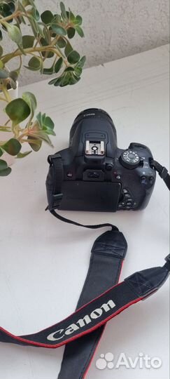 Зеркальный фотоаппарат canon eos 700b