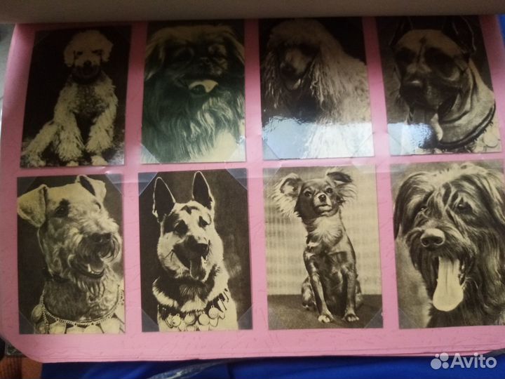 Фауна на карманных календарях