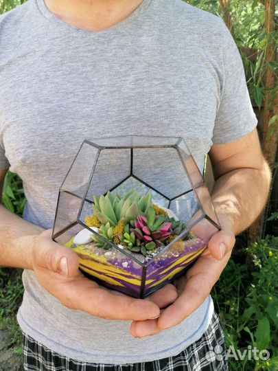 Флорариумы в наличии Иркутск