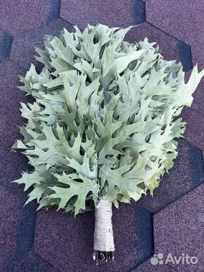 Дубовые веники для бани