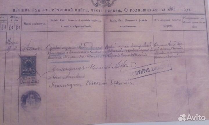 Выписка 1910