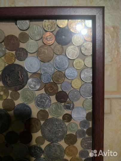 Пано из монет